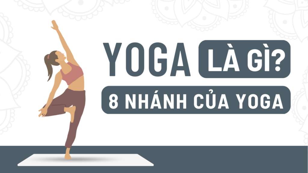 Yoga là gì, 8 nhánh của Yoga