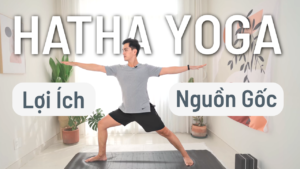 hatha yoga là gì