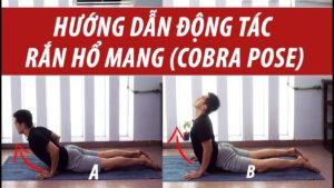 hướng dẫn tư thế yoga rắn hổ mang