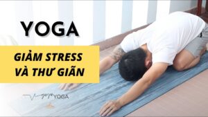 yoga giảm stress, giúp thư giãn tâm tri