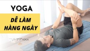 yoga cơ bản cho người mới