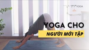 yoga cho người mới