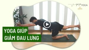 yoga trị liệu đau lưng