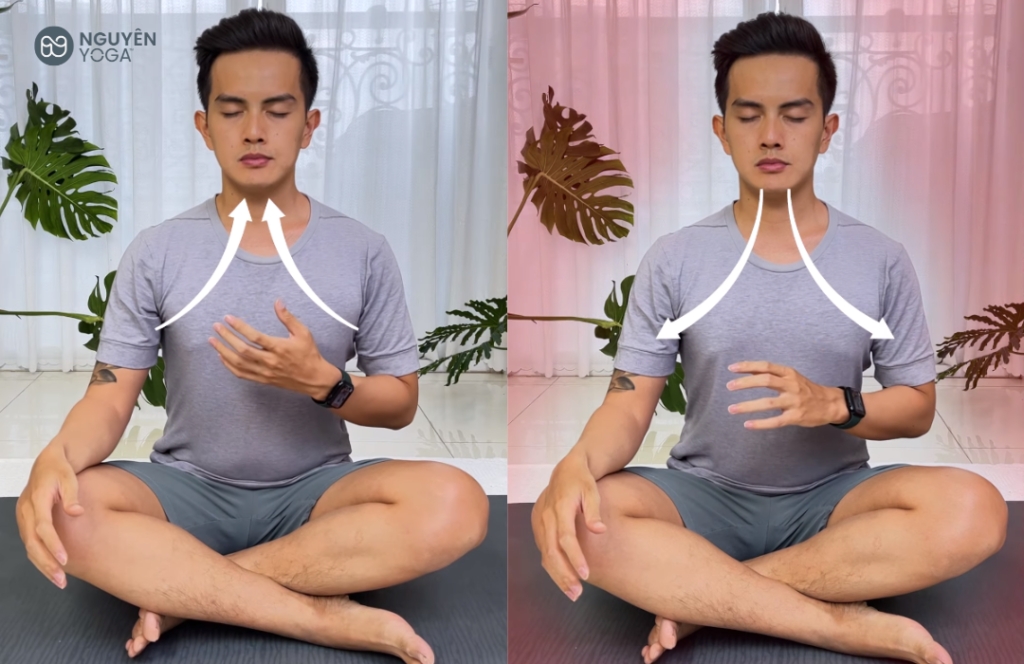Hịt thở bằng mũi trong Yoga