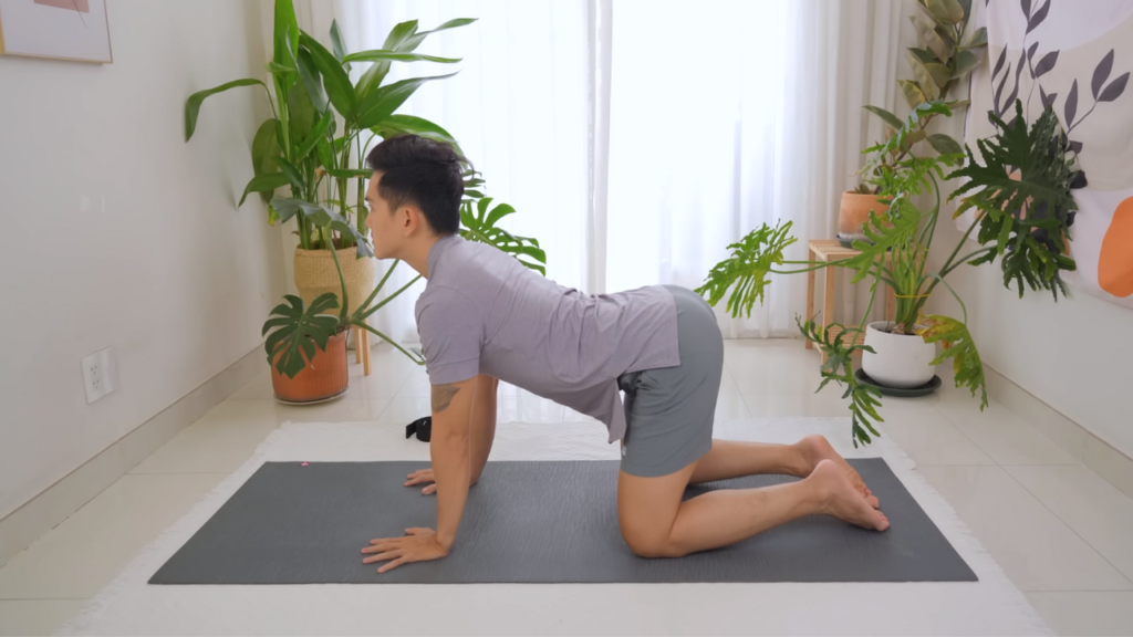 Tư thế Yoga Con Mèo 