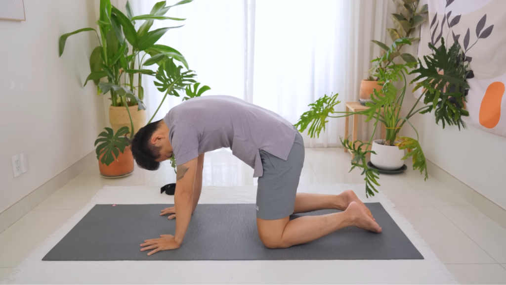 Tư thế Yoga Con Bò