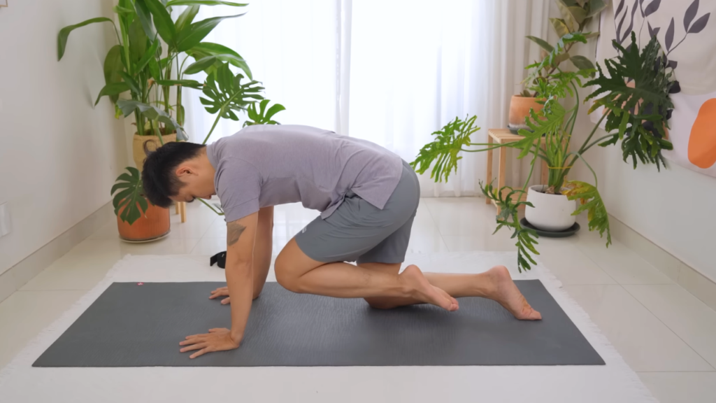 Tư thế Yoga Chim Chó