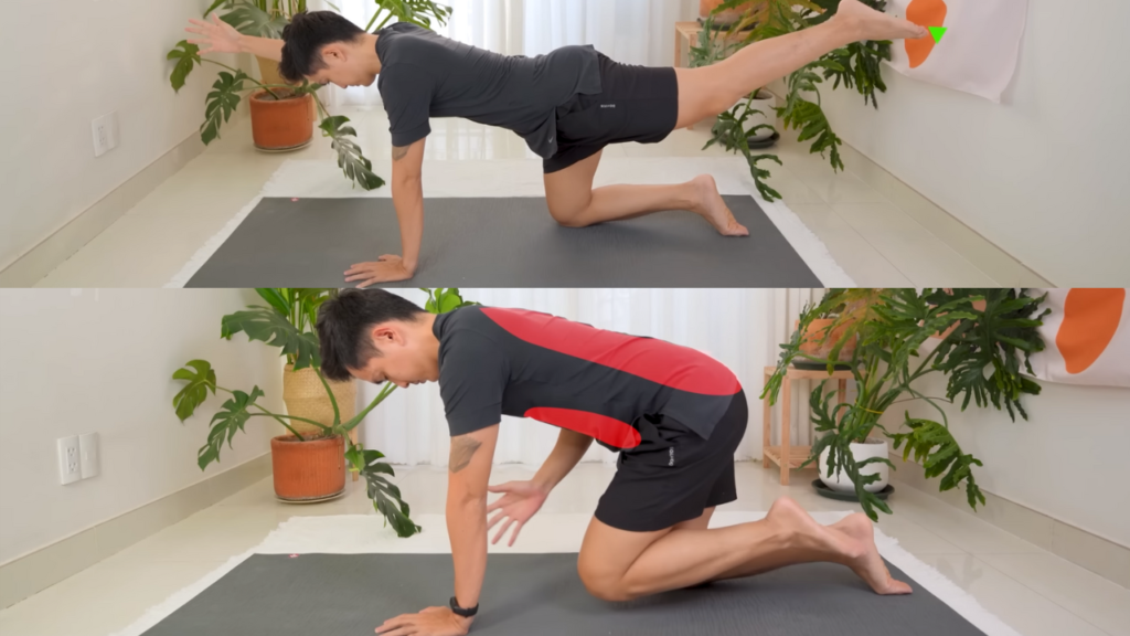 Tư thế Yoga Chim Chó