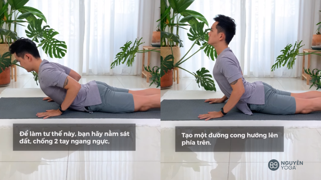 Tư thế Yoga Rắn Hổ Mang