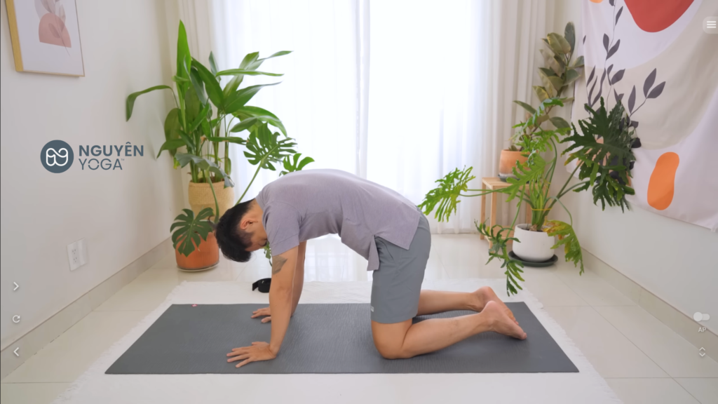 Động tác Yoga Con Mèo