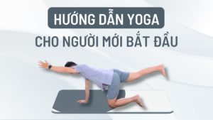 Tự tập Yoga cho người mới bắt đầu