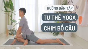 Tư thế yoga chim bồ câu
