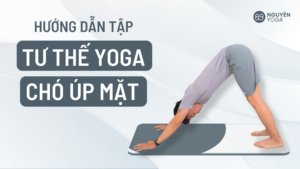 tư thế yoga chó úp mặt cho người mới bắt đầu
