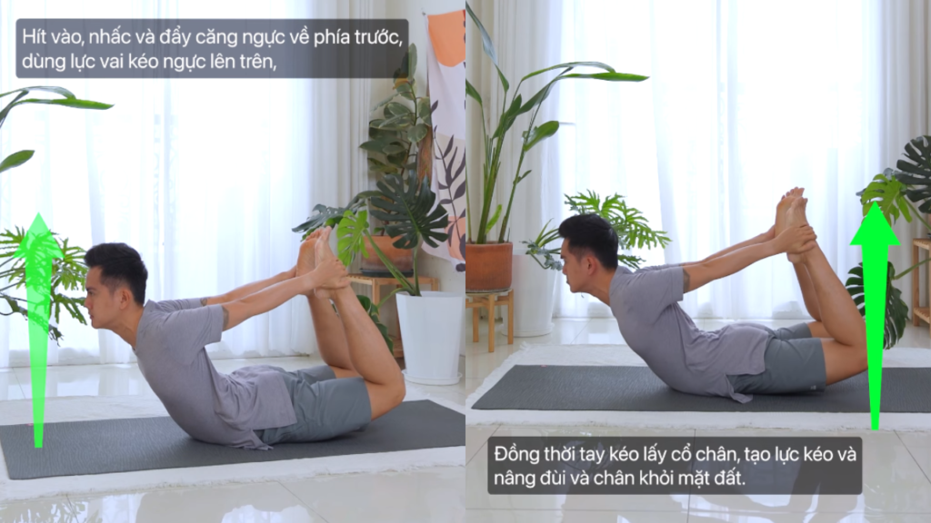 Tư thế Yoga Cánh Cung