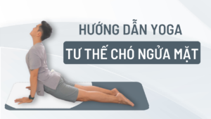 tư thế chó ngẩng mặt