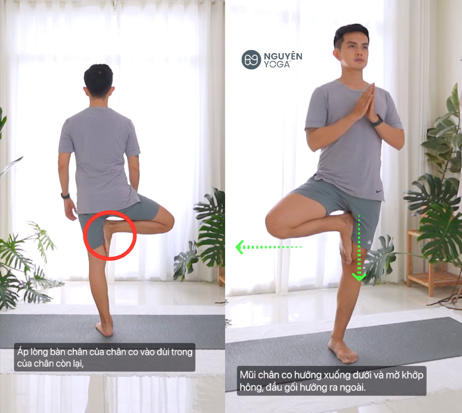 Co chân trong tư thế Yoga Cái Cây