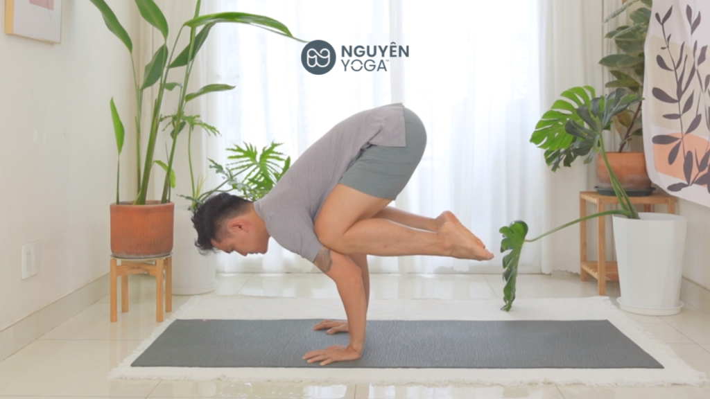 tư thế yoga con quạ