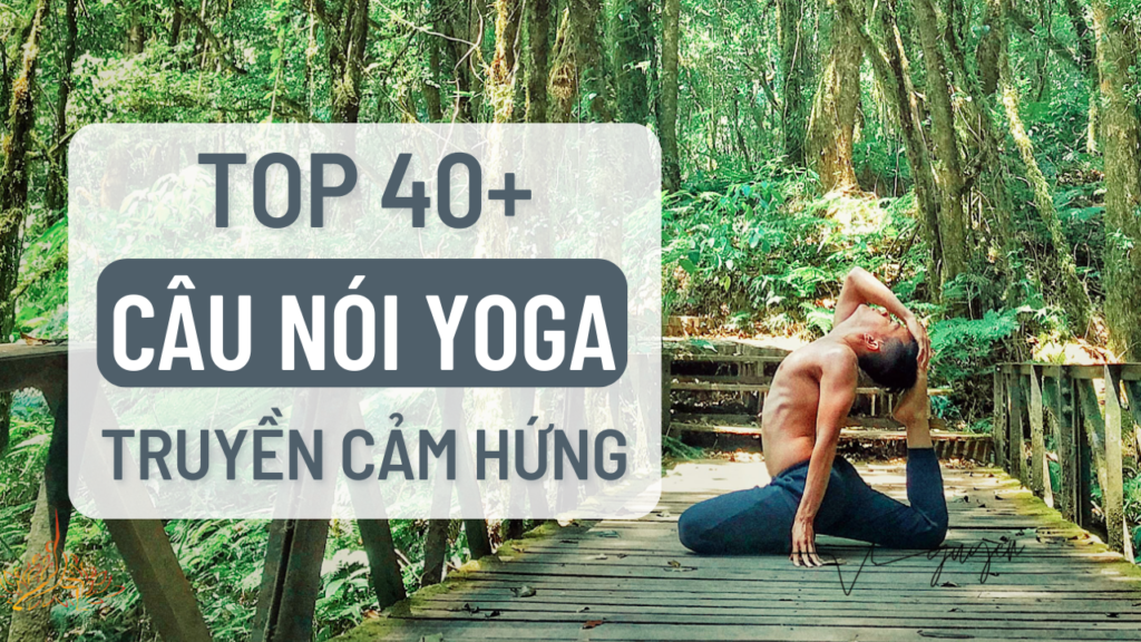 40 câu nói hay về yoga