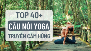40 câu nói hay về yoga