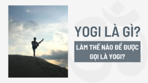 yogi là gì