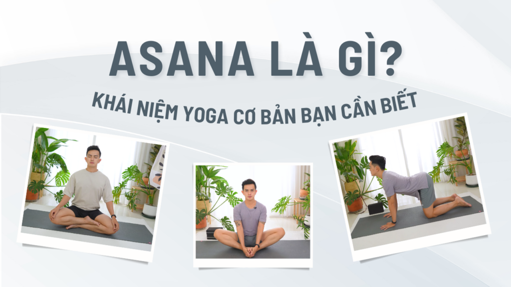 asana là gì