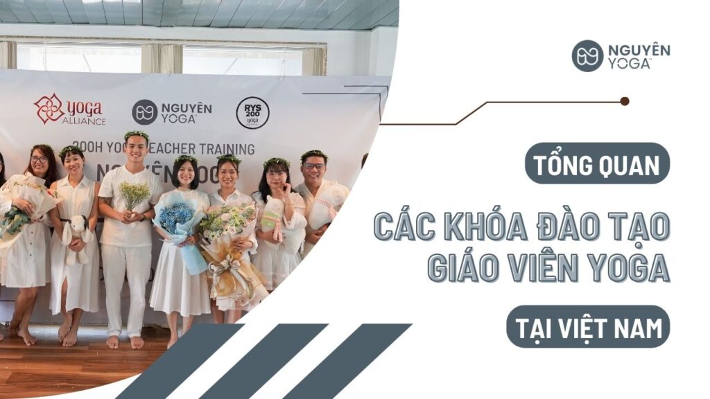 các khóa đào tạo giáo viên yoga tại việt nam